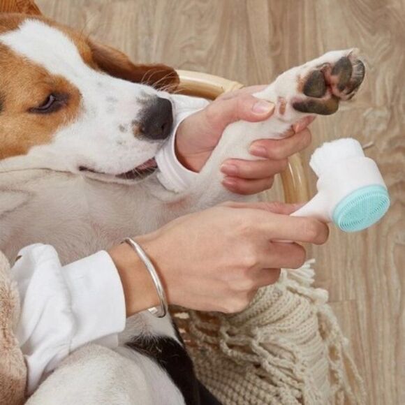 PET PAW CLEANING BRUSH  - Picture 1 of 5